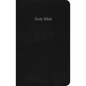 Gift & Award Bible-Ceb - Imitation Leather