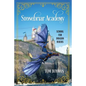 Stonebriar Academy: School for Dragon Riders - Paperback