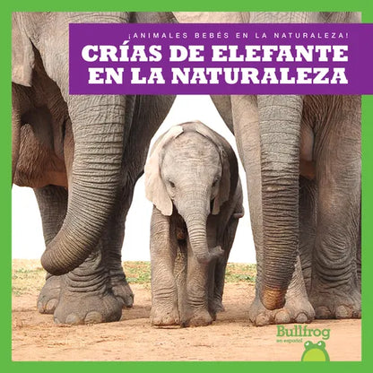 Crías de Elefante En La Naturaleza (Elephant Calves in the Wild) - Paperback