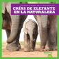Crías de Elefante En La Naturaleza (Elephant Calves in the Wild) - Paperback
