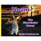 Noam-The First Easter Bunny - Paperback
