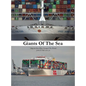 Giants Of The Sea - Hardcover