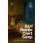 Karl Beetle Can't Sleep And Other Bilingual German-English Children's Stories for Beginners - Paperback