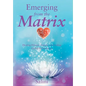 Emerging From the Matrix: Healing Human Trauma and Ending Global Enslavement - Hardcover