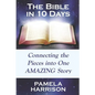 The Bible in 10 Days: Connecting the Pieces Into One Amazing Story - Paperback