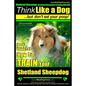 Shetland Sheepdog, Shetland Sheepdog Training AAA AKC: Think Like a Dog, but Don't Eat Your Poop! Shetland Sheepdog Breed Expert Training: Here's EXAC - Paperback