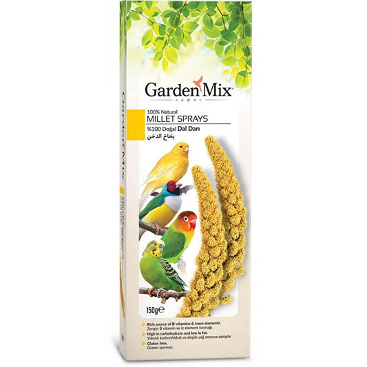 Pet's Family Natural Bird Feed - Gluten-Free Sarı Dal Darı for Parrots, Finches, and Pet Birds
