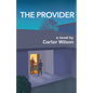 The Provider - Paperback