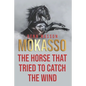 Mokasso, the horse that tried to catch the wind - Paperback