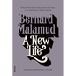 A New Life - Paperback