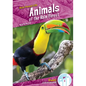 Animals of the Rain Forest - Library Binding