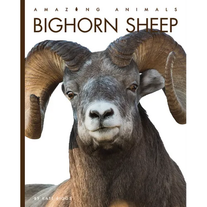 Bighorn Sheep - Library Binding