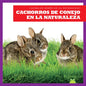 Cachorros de Conejo En La Naturaleza (Rabbit Kits in the Wild) - Paperback