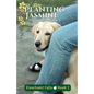 Planting Jasmine: Riverbend Falls Book 2 - Paperback