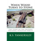 When Wood Turns to Stone: The Story of the Arizona National Petrified Forest - Paperback