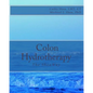Colon Hydrotherapy: The SheaWay - Paperback