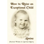 How to Raise an Exceptional Child - Paperback