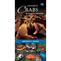 A Field Guide to Crabs of the Pacific Northwest