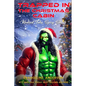 Trapped in the Christmas Cabin - Paperback