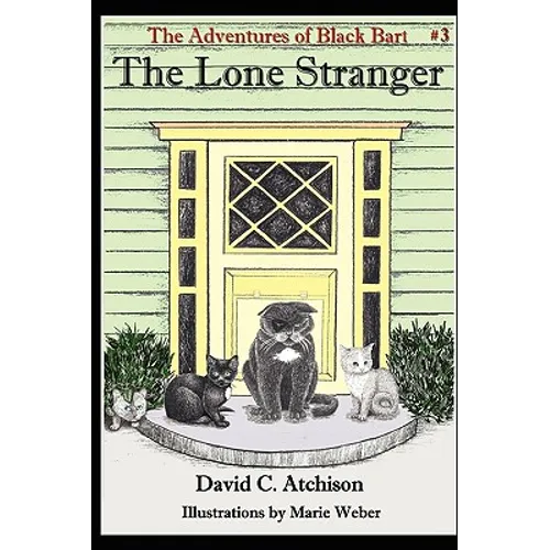 The Adventures of Black Bart: The Lone Stranger - Paperback