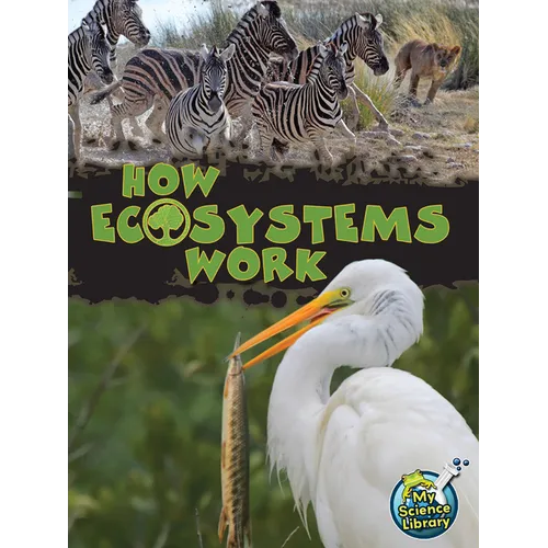 How Ecosystems Work - Paperback