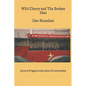 Wild Cherry and The Broken Man - Paperback