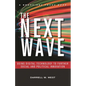 The Next Wave: Using Digital Technology to Further Social and Political Innovation - Paperback