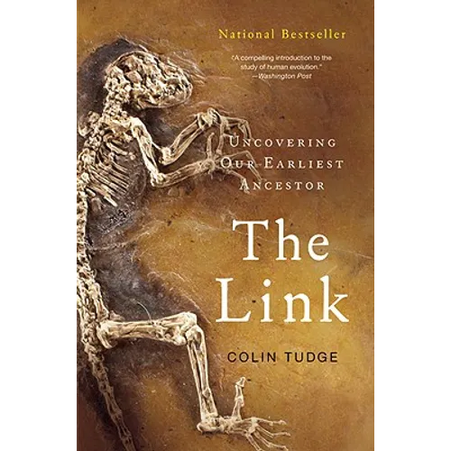 The Link - Paperback