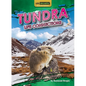 Tundra Life Connections - Library Binding