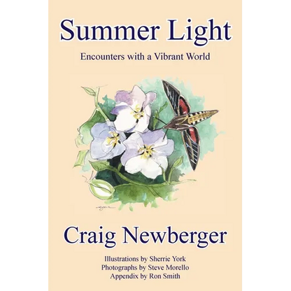 Summer Light: Encounters with a Vibrant World - Paperback