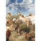 Meatmaster Sheep: Breed Establishment in South Africa - Paperback