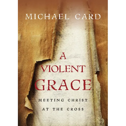 A Violent Grace: Meeting Christ at the Cross - Paperback