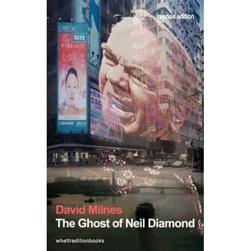 The Ghost of Neil Diamond - Paperback