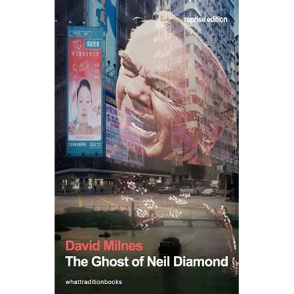 The Ghost of Neil Diamond - Paperback