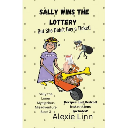 Sally Wins the Lottery -- But She Didn't Buy the Ticket - Paperback
