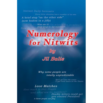 Numerology for Nitwits - Paperback