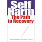 Self Harm: The Path to Recovery - Paperback