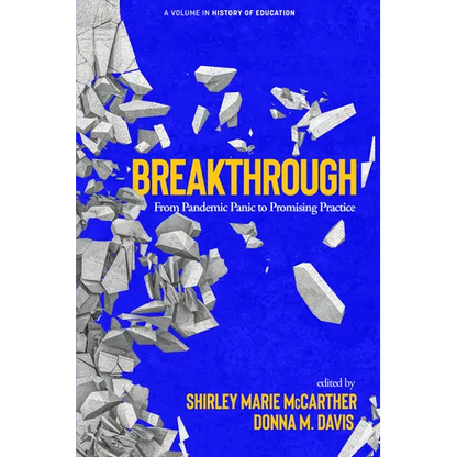 Breakthrough: From Pandemic Panic to Promising Practice - Paperback