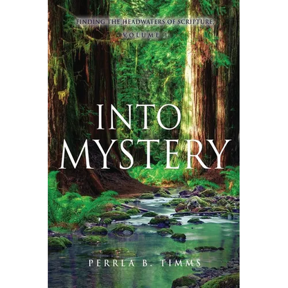 Into Mystery: Finding The Headwaters Of Scripture, Volume 1 - Paperback