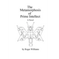 The Metamorphosis of Prime Intellect - Paperback