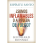 Spanish-Holy Spirit: Are We Flammable or Fireproof?: Espiritu Santo: Somos Inflamables O a Prueba de Fuego? - Paperback