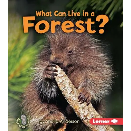 What Can Live in a Forest? - Paperback