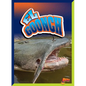 El Goonch - Hardcover