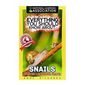 Everything You Should Know About: Snails Faster Learning Facts - Paperback