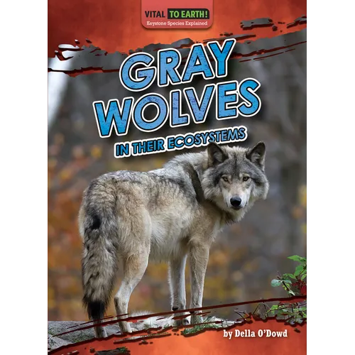 Gray Wolves in Their Ecosystems - Library Binding