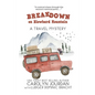 Breakdown on Blowhard Mountain: A Travel Mystery: A Comical Chase Through the Western National Parks - Paperback