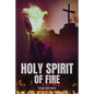 Holy Spirit of Fire - Paperback