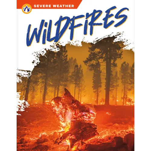 Wildfires - Library Binding