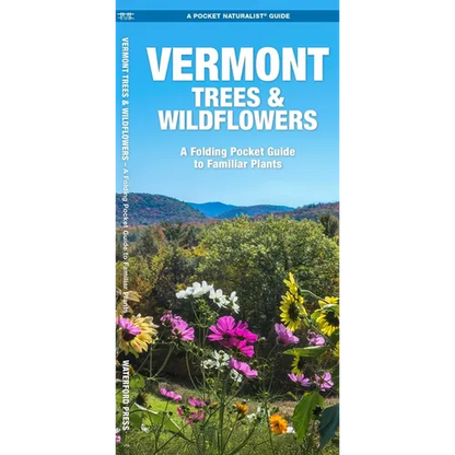 Vermont Trees & Wildflowers: A Folding Pocket Guide to Familiar Plants - Paperback