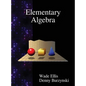 Elementary Algebra - Hardcover